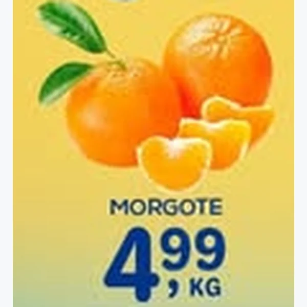 Morgote
