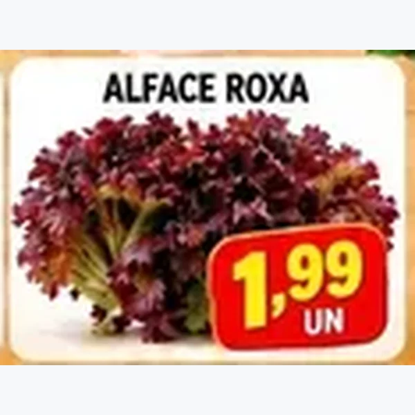 Alface Roxa