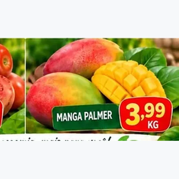 Manga Palmer