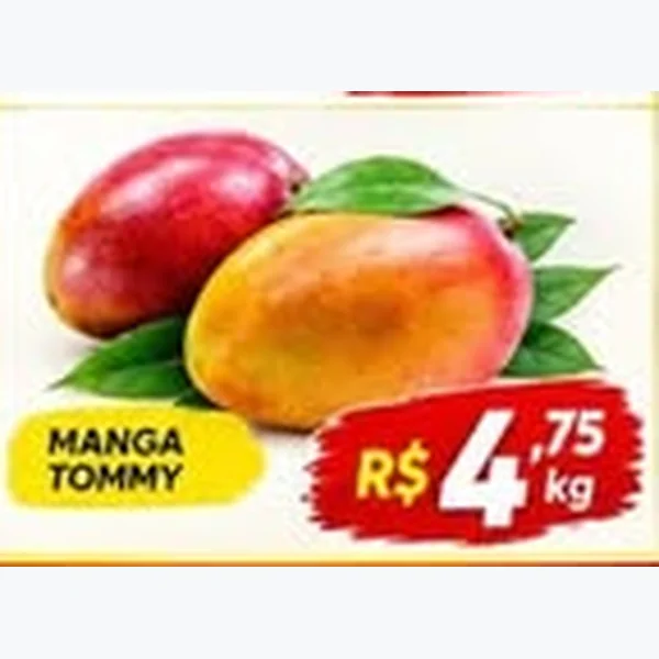 Manga Tommy