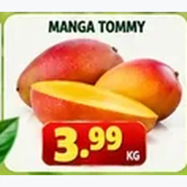 Manga Tommy