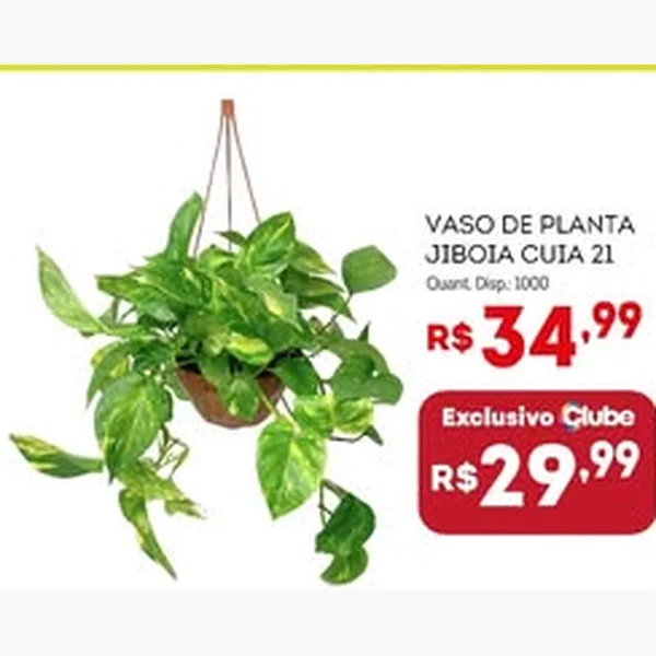 Recorte do encarte de Vaso de Planta Jiboia Cuia 21