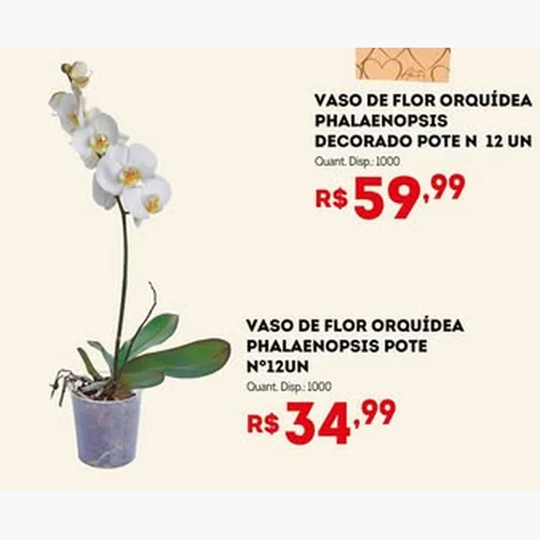 Recorte do encarte de Vaso de Flor Orquídea Phalaenopsis 12 un