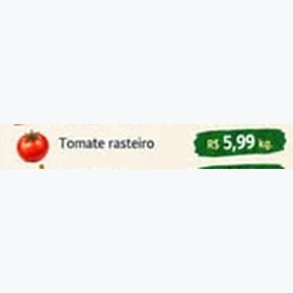Tomate Rasteiro