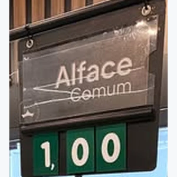 Alface Comum