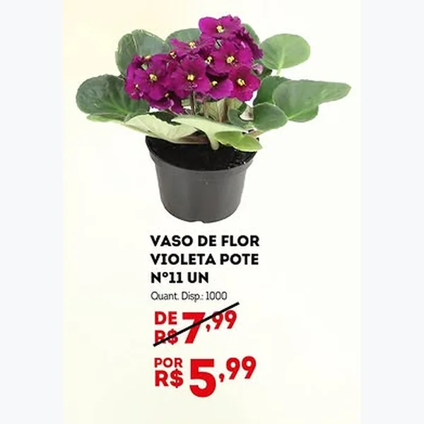 Vaso de Flor Violeta Pote Nº 11
