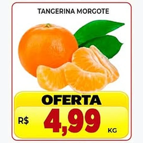 Tangerina Morgote