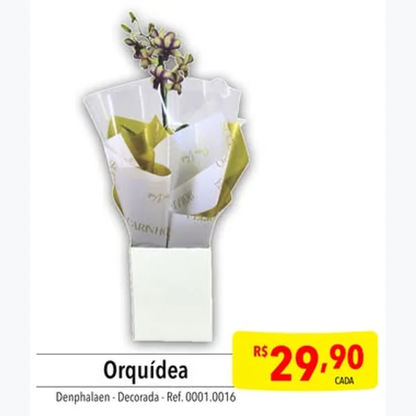 Orquídea Denphalaen Decorada