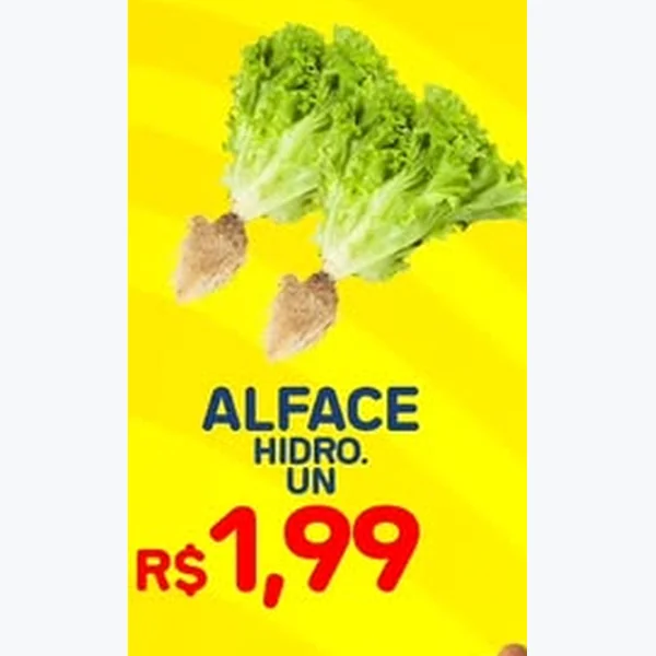 Alface Hidropônica