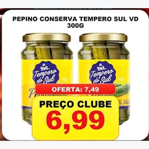 Pepino Conserva Tempero Sul 300 g