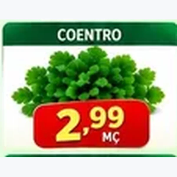 Coentro