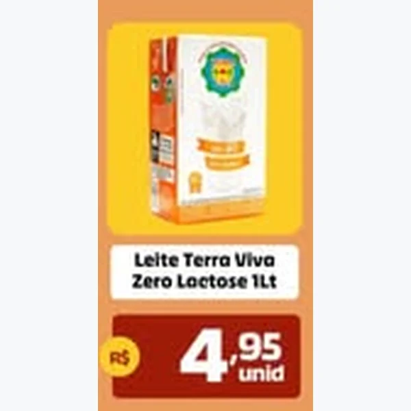 Leite Zero Lactose Terra Viva 1 L