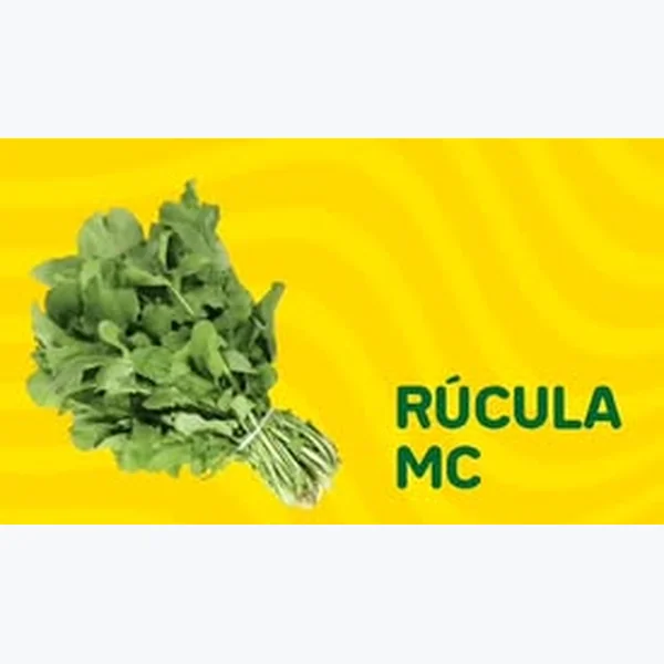 Rúcula