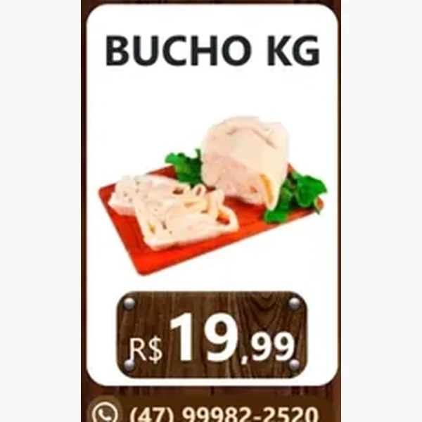 Bucho