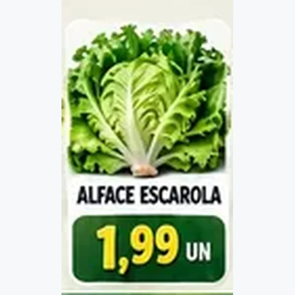 Alface Escarola