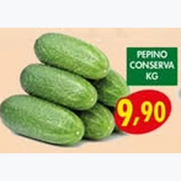 Pepino Conserva