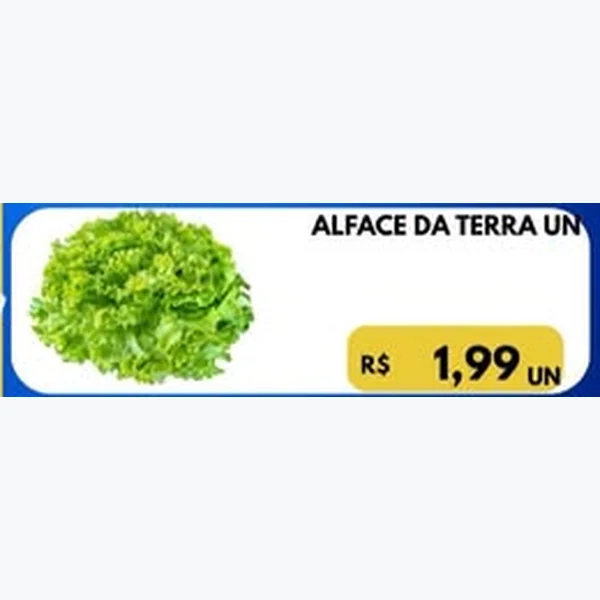 Alface da Terra