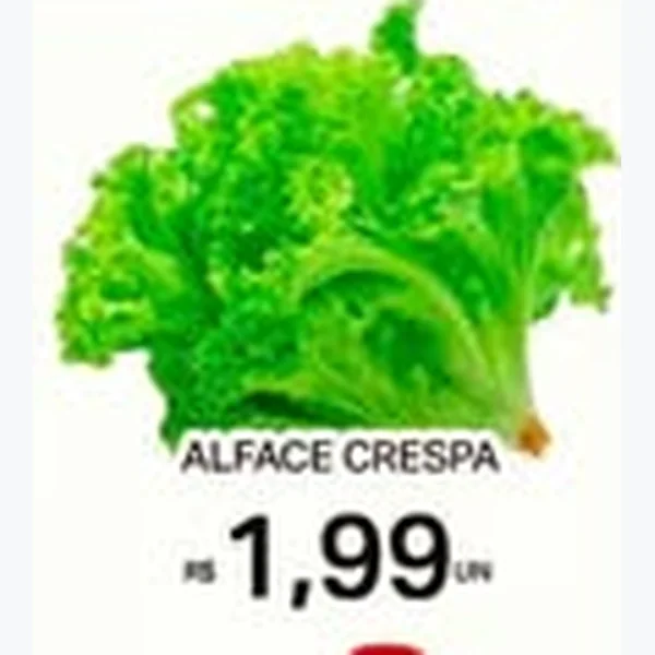 Recorte do encarte de Alface Crespa