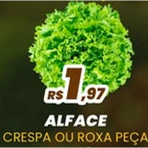 Alface Roxa