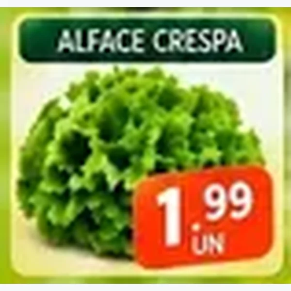 Alface Crespa
