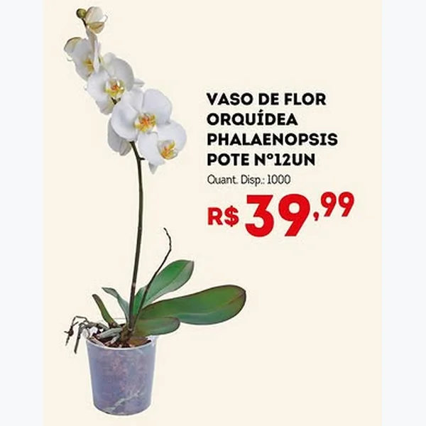 Recorte do encarte de Vaso de Flor Orquídea Phalaenopsis Pote Nº12