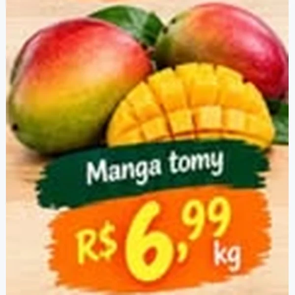 Manga Tomy
