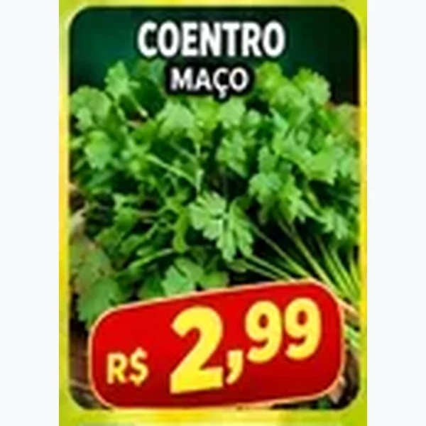 Coentro