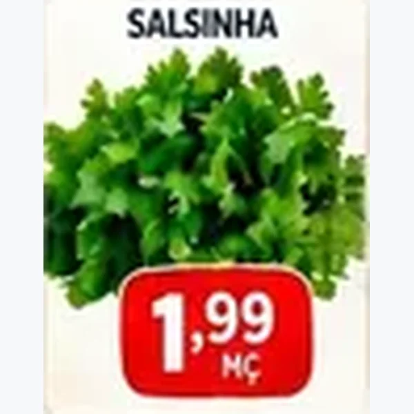 Salsinha