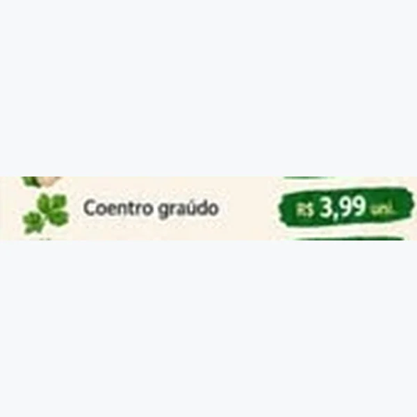 Coentro Graúdo
