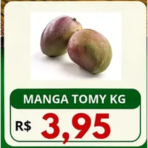 Manga Tomy