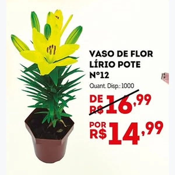 Recorte do encarte de Vaso de Flor Lírio Pote N°12