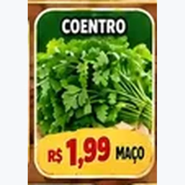 Coentro
