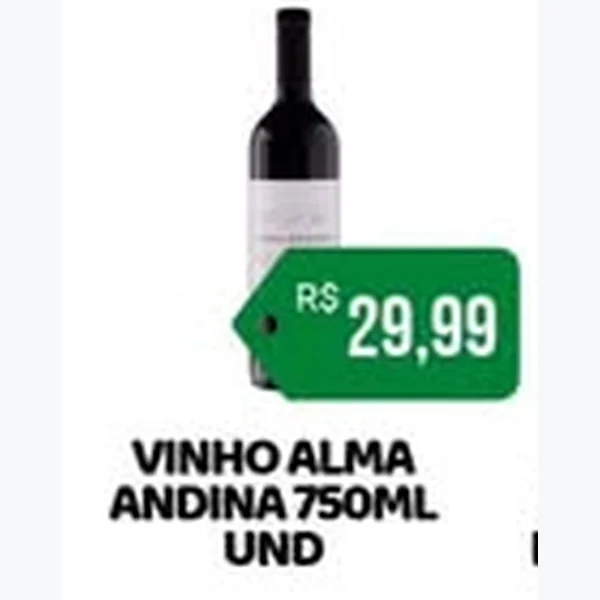 Vinho Alma Andina 750 ml