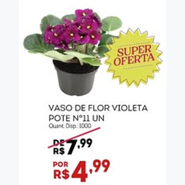 Recorte do encarte de Vaso de Flor Violeta 11 un