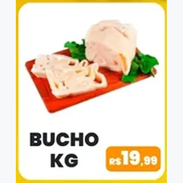 Bucho
