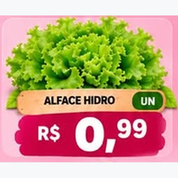 Alface Hidro