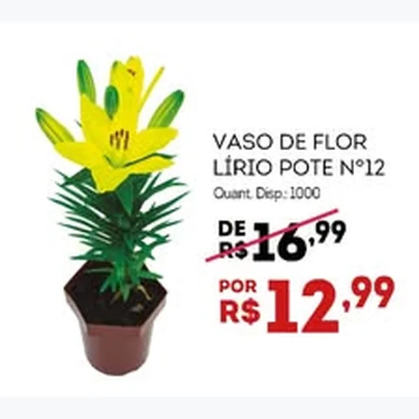 Recorte do encarte de Vaso de Flor Lírio Pote Nº 12