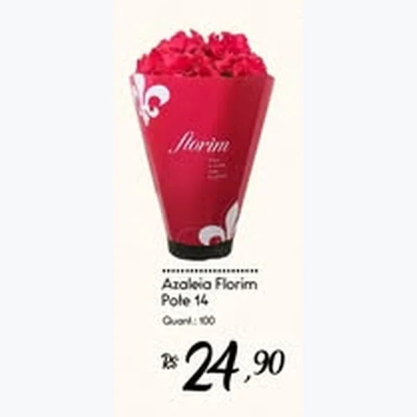 Azaleia Florim Pote 14