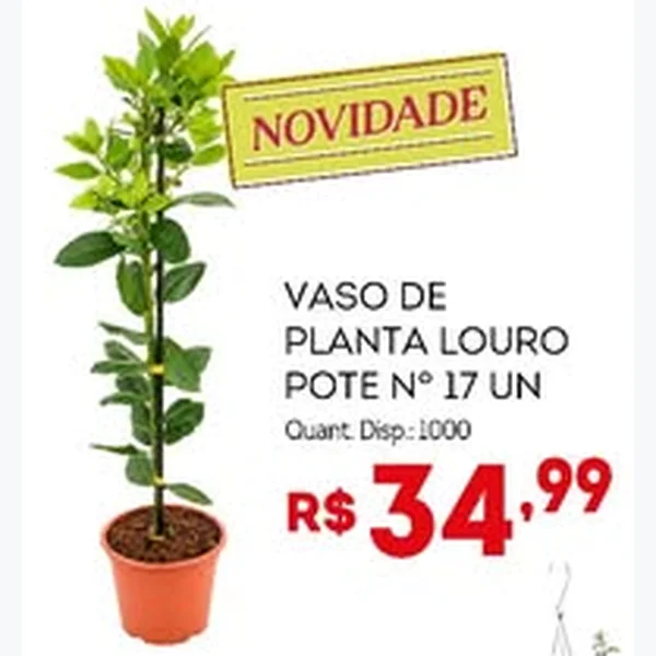 Recorte do encarte de Vaso de Planta Louro Pote Nº 17