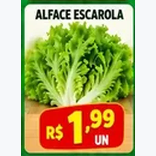 Alface Escarola