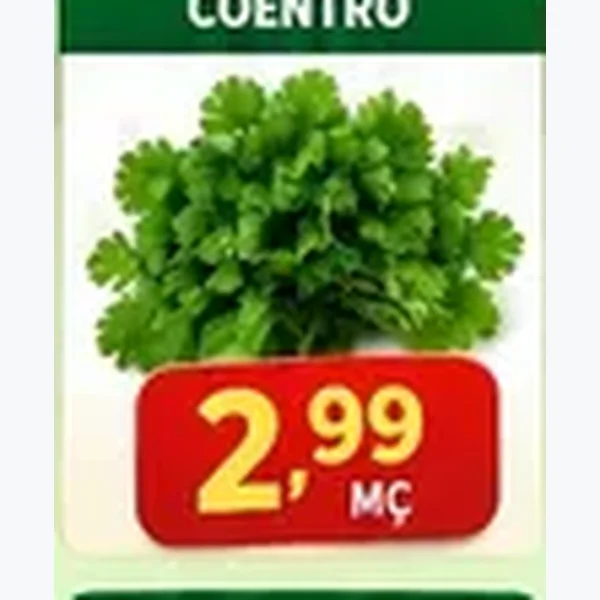 Coentro