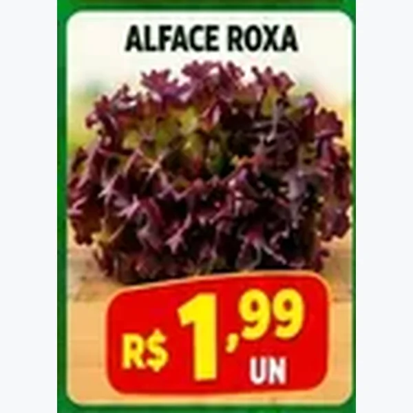 Alface Roxa