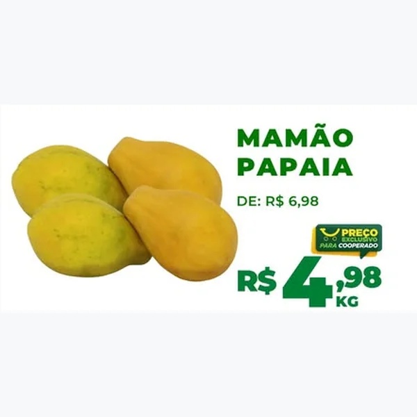 Mamão Papaia