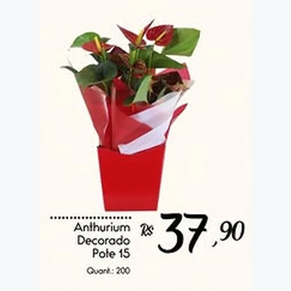 Recorte do encarte de Anthurium Decorado Pote 15
