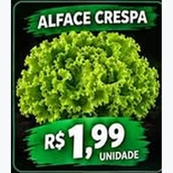 Alface Crespa