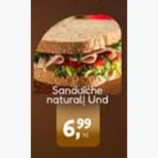 Sanduíche Natural