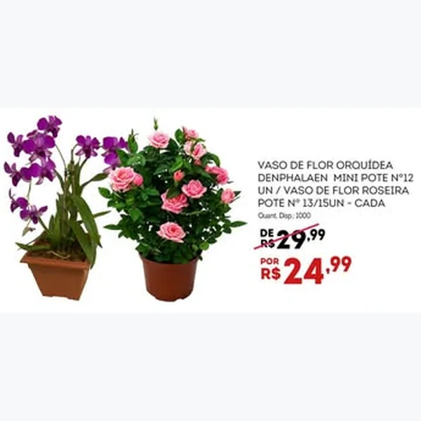 Vaso de Flor Roseira Pote 13/15