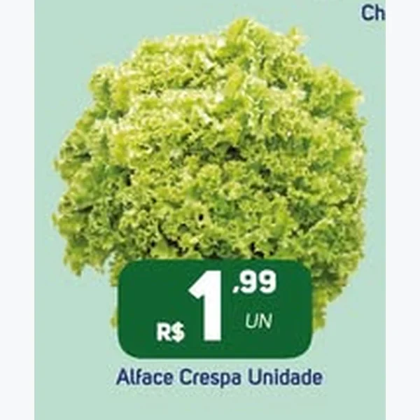Alface Crespa
