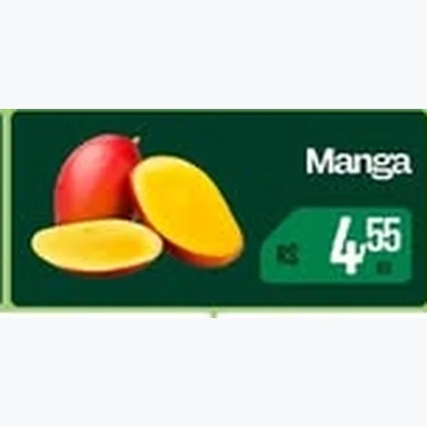 Manga