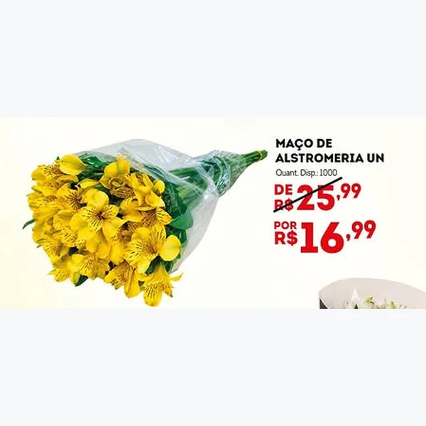 Maço de Alstromeria